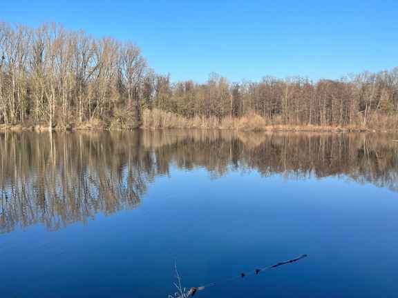 23-02-13 14-37-20 4230